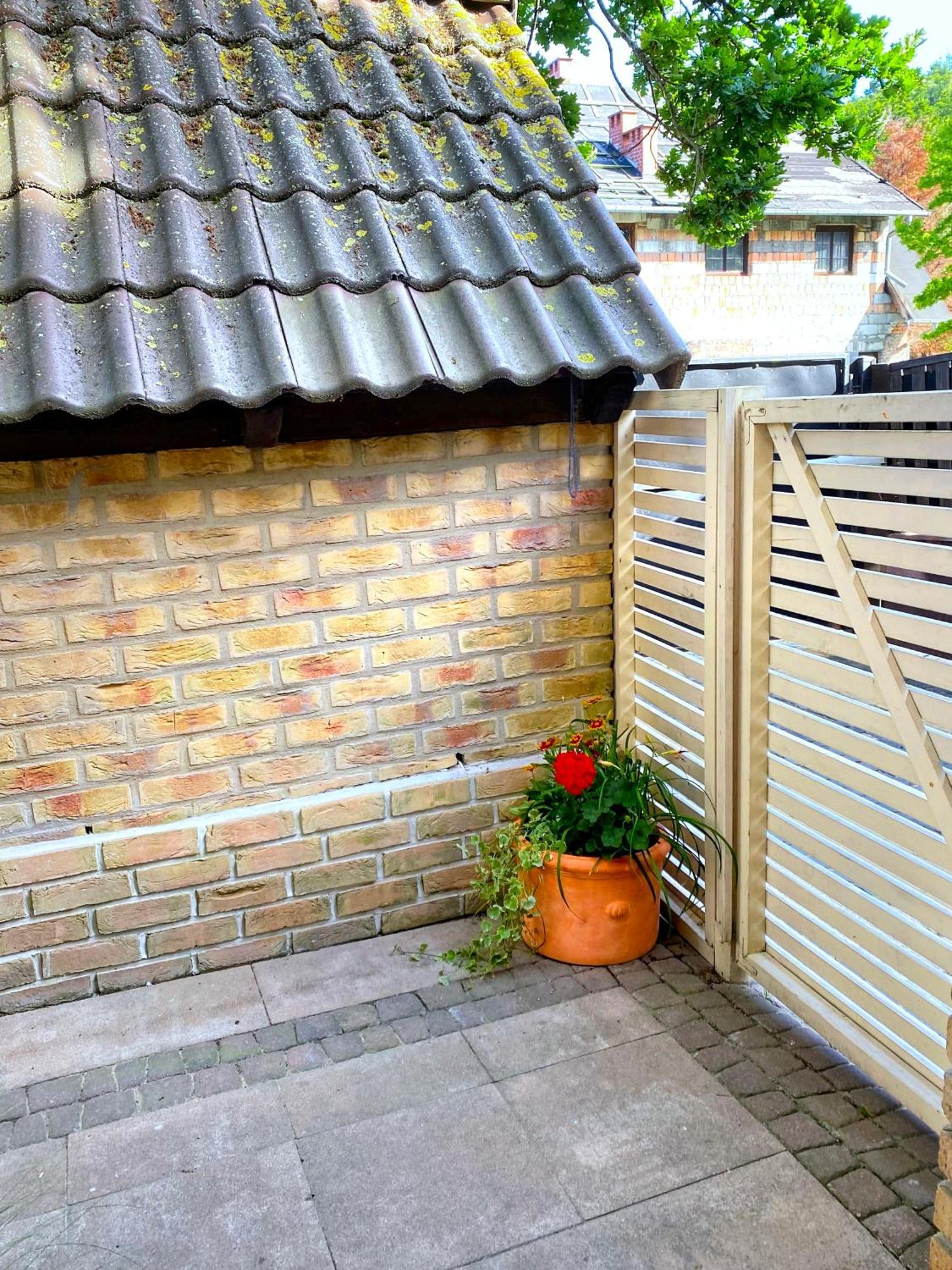 Pod Debem Apartment *